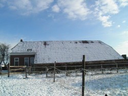 Afbeelding invoegen